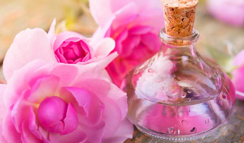 گلاب دو آتیشه اعلا طبیعی و باکیفیت